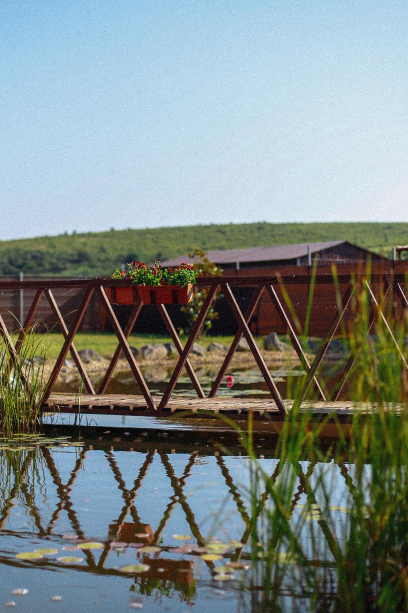 Megnyugtat-Lak Apartmanhaz Демьен Экстерьер фото